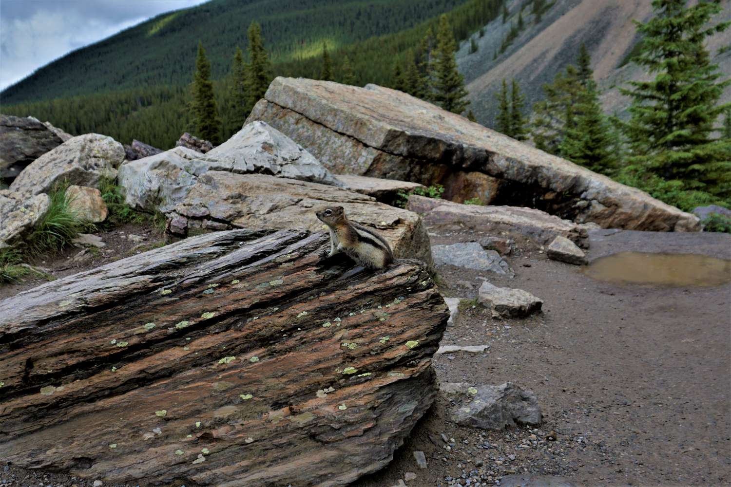 Banff/Lake Louise