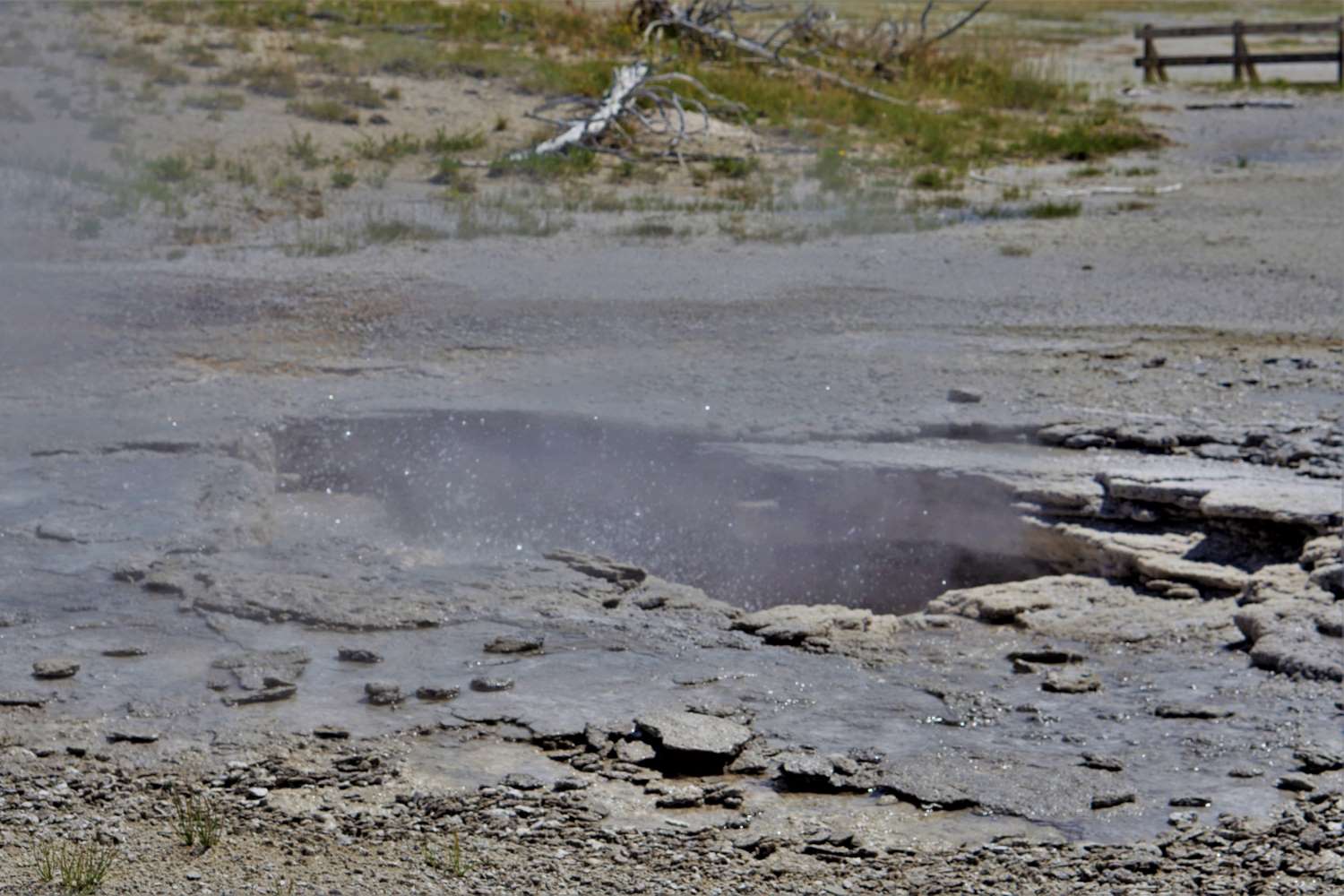 Yellowstone