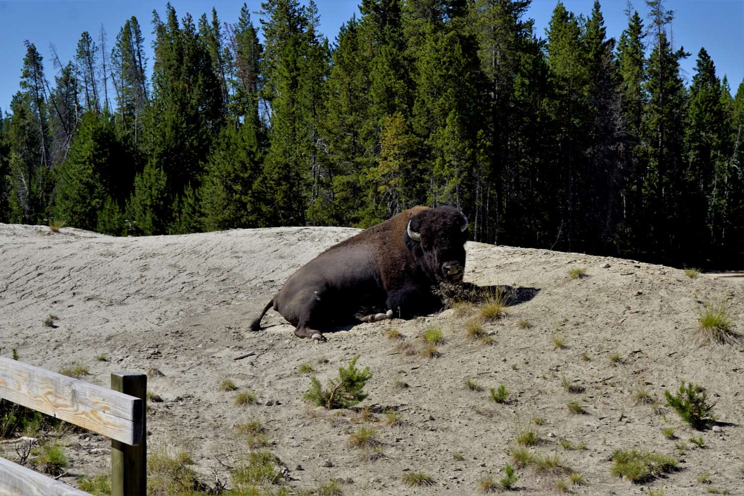 Yellowstone