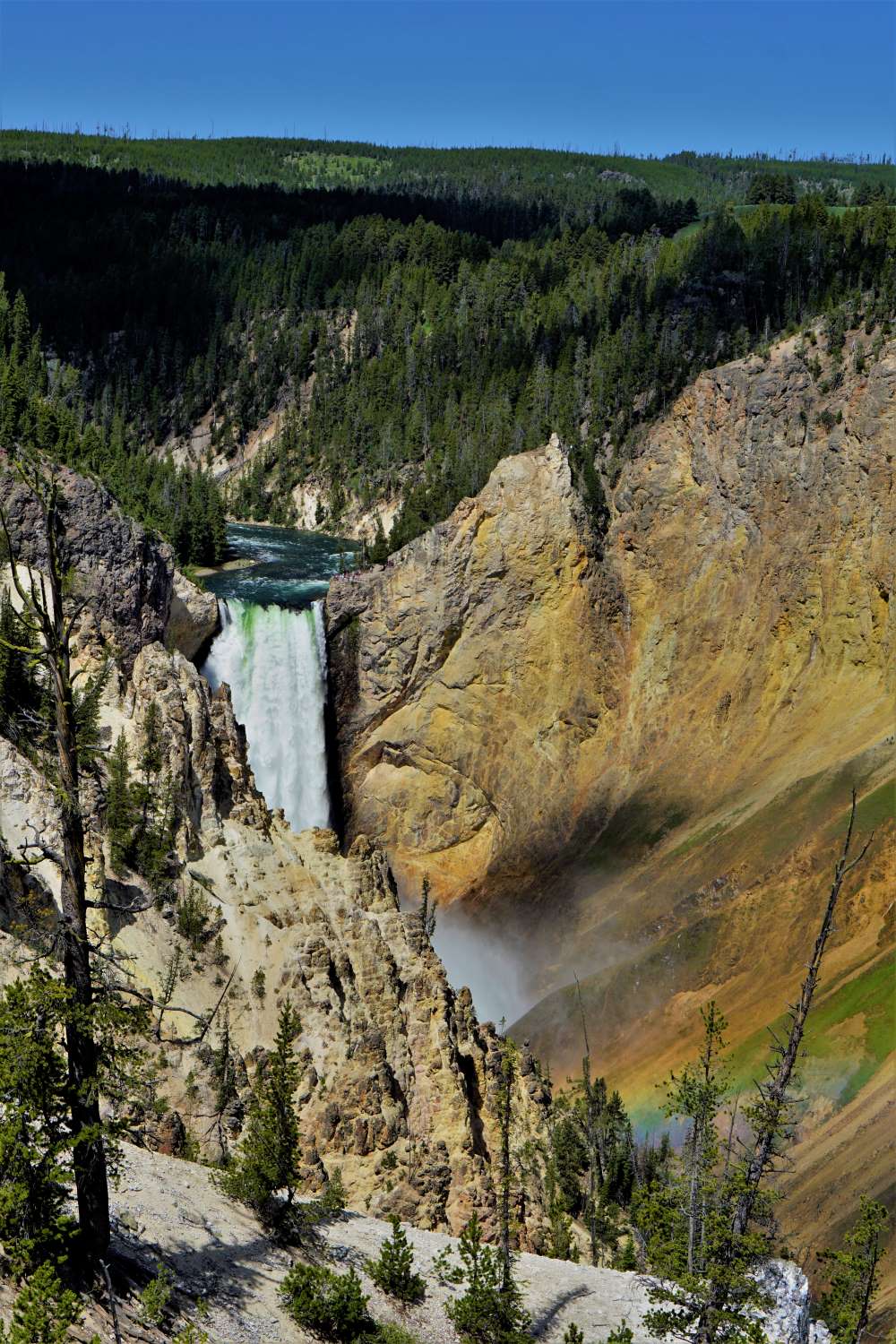 Yellowstone