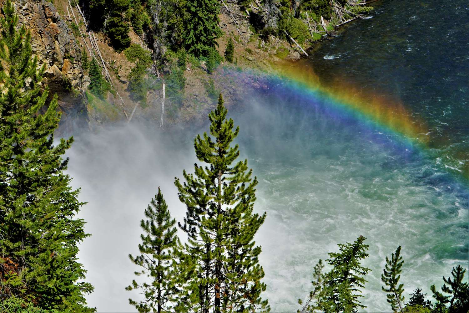 Yellowstone