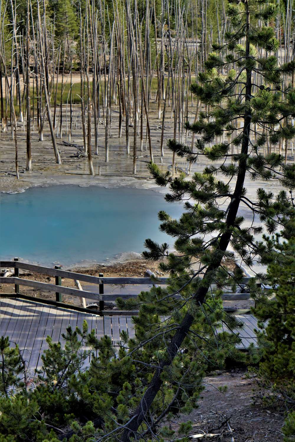 Yellowstone