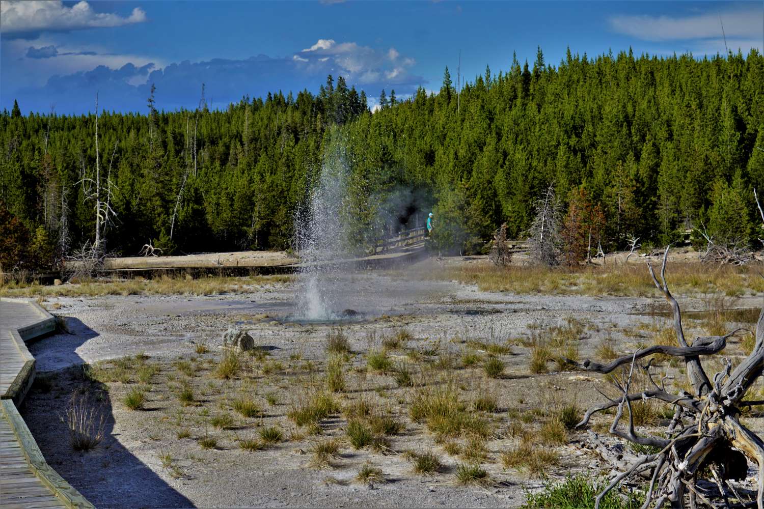 Yellowstone