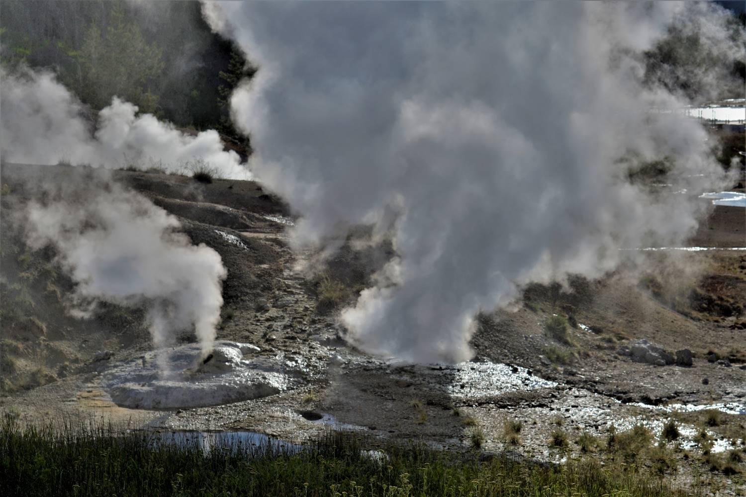 Yellowstone