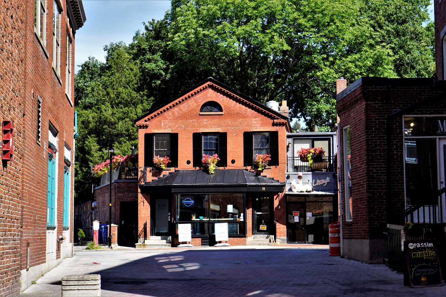 House, Cafe in Harvard