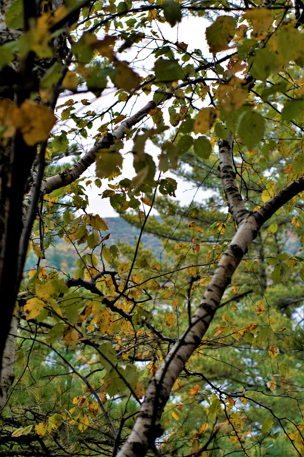 Devil's Lake