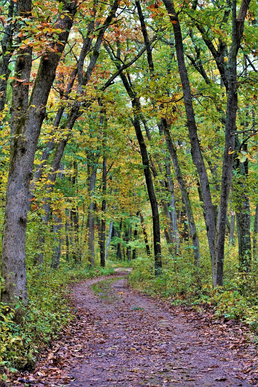 Devil's Lake