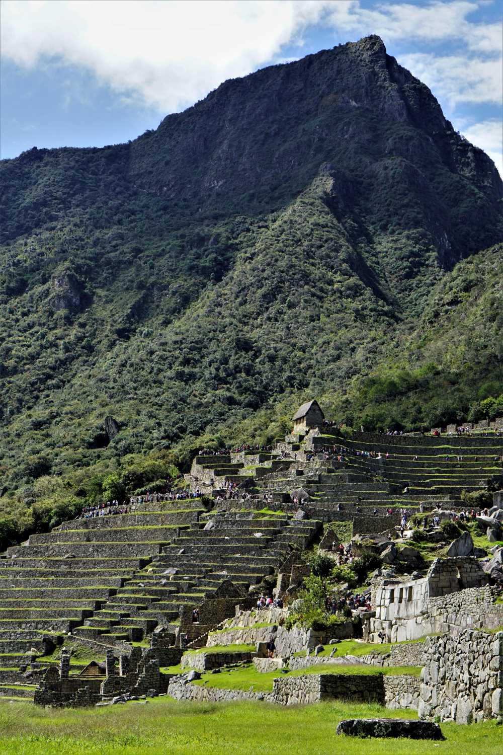 View of Mt. Macchu Picchu