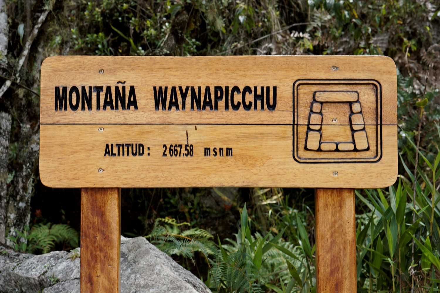 Top of Waynapicchu