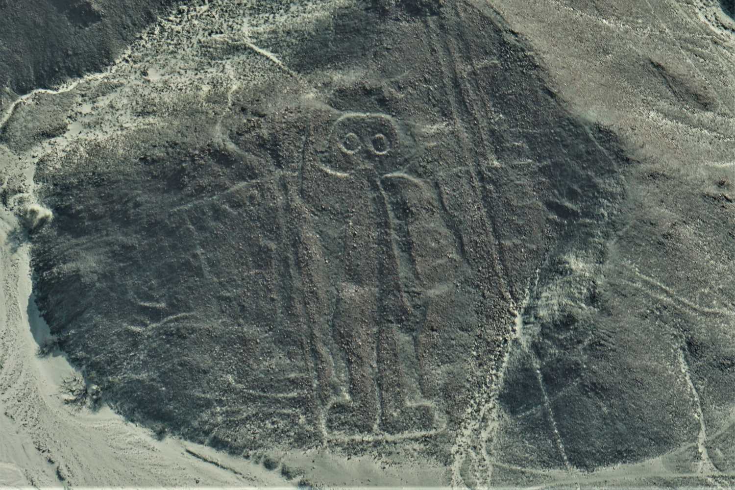 Nazca Lines