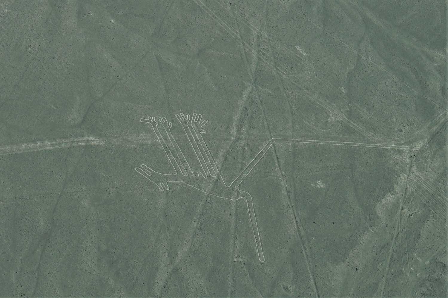 Nazca Lines