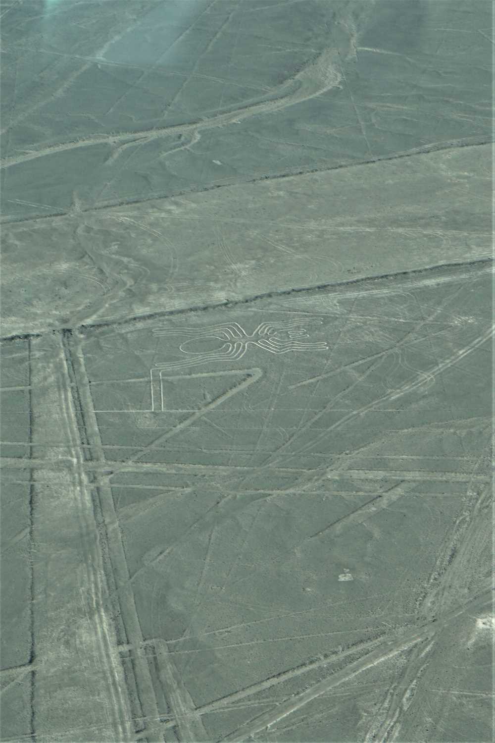 Nazca Lines