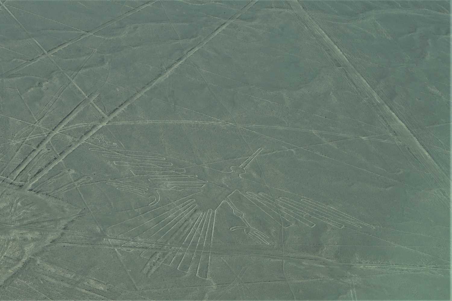 Nazca Lines