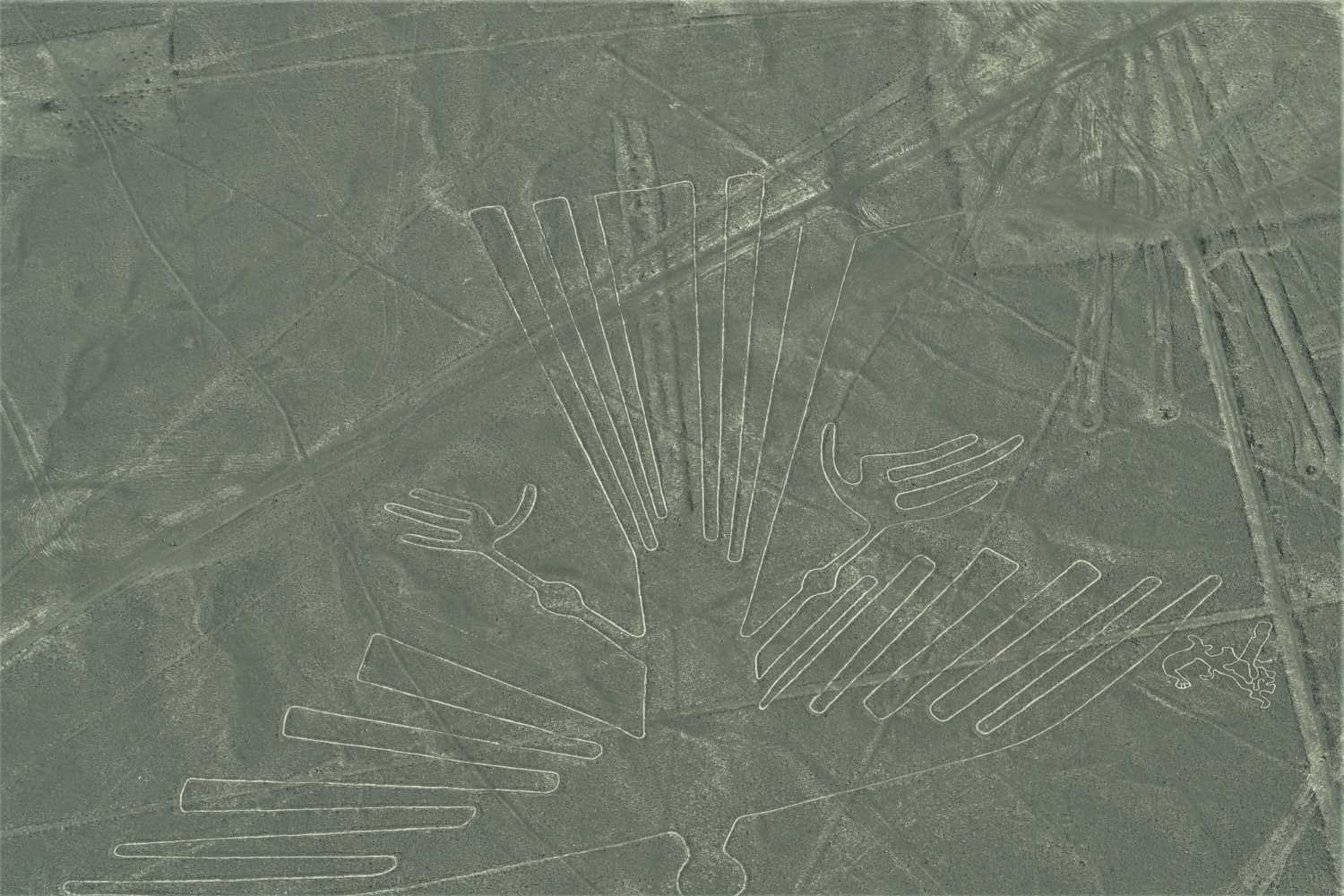 Nazca Lines