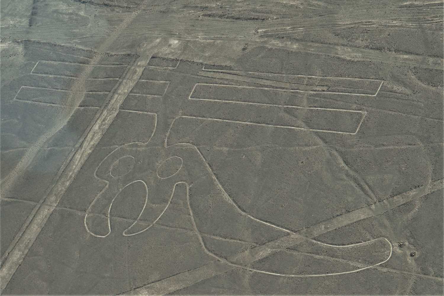 Nazca Lines