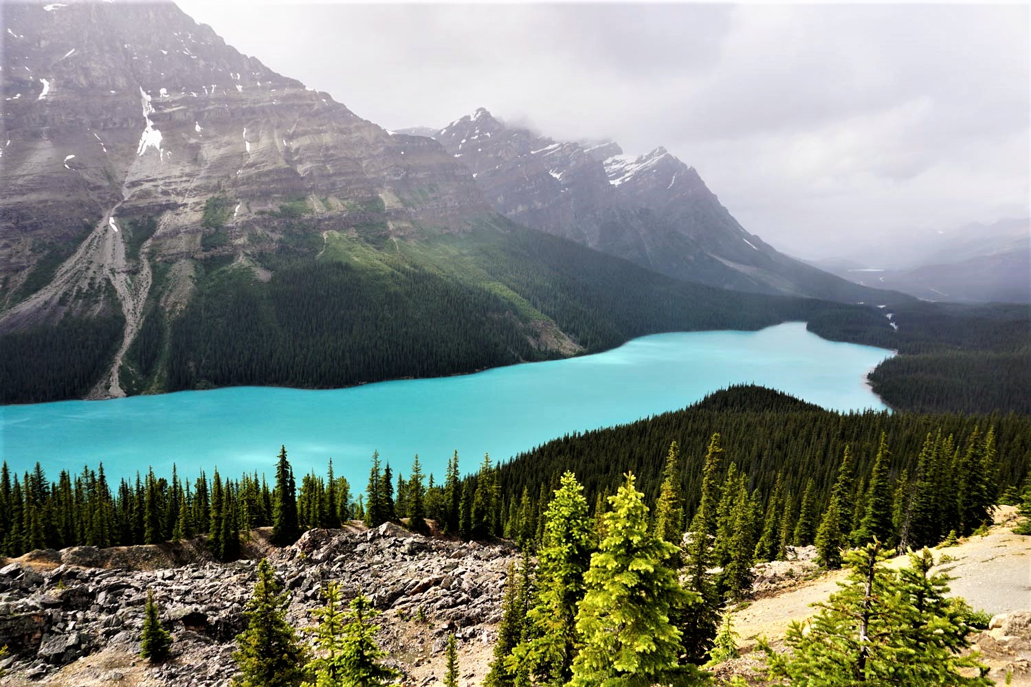 Fox Lake Banff