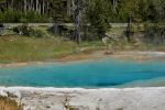 Yellowstone