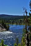 Yellowstone