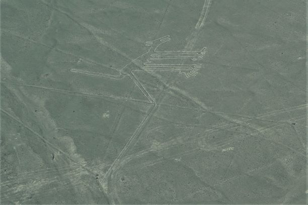 Nazca Lines