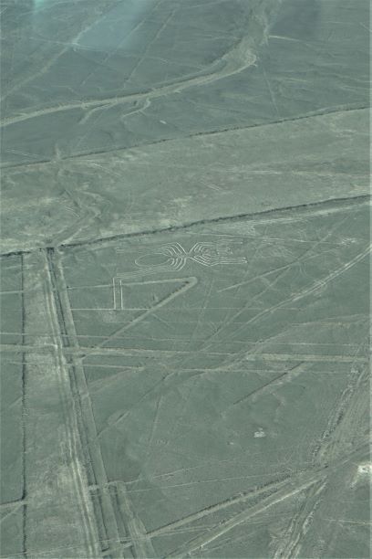 Nazca Lines