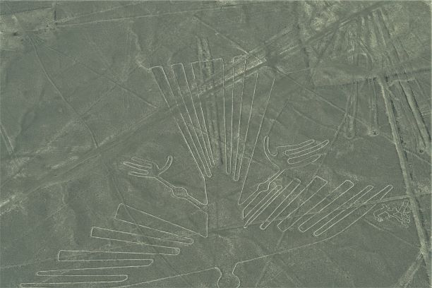 Nazca Lines