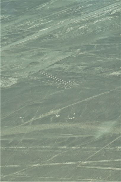 Nazca Lines