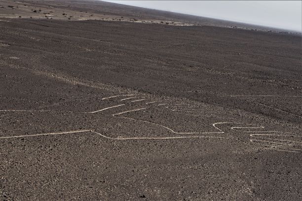 Nazca Lines