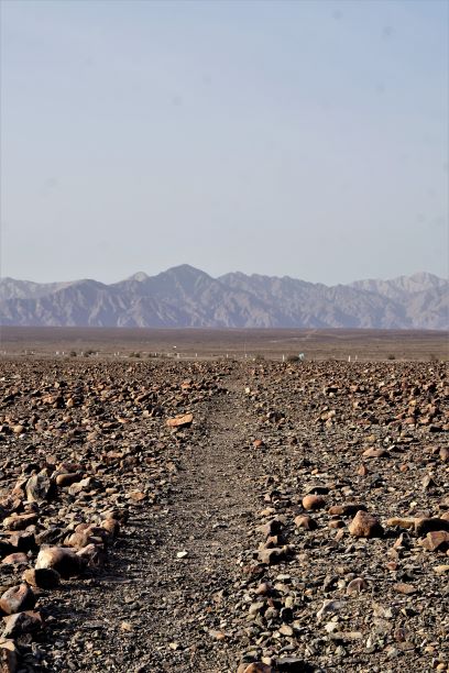 Nazca Lines